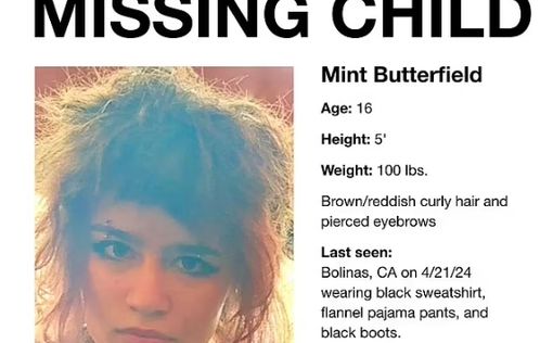 Дочь основательницы Flickr исчезла в наркотических джунглях Сан-Франциско