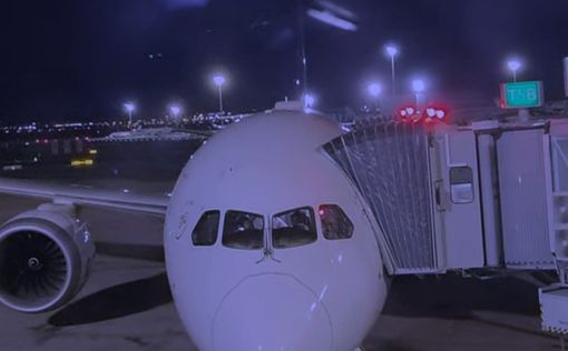 Самолет рейса Мадрид-Тель-Авив совершил вынужденную посадку